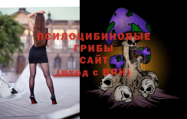 гашик Аркадак